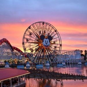 Meet your Posher, Frances